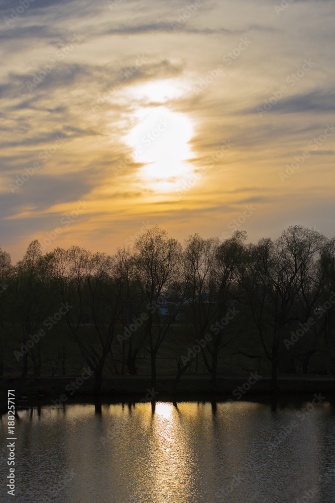 sunset over the pond with reflection trees in the spring