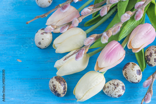 happy easter holiday/quail eggs,tulips and willow twigs on blue background with copy space