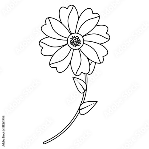 Fototapeta Naklejka Na Ścianę i Meble -  flower stem leaves bloom floral ornament image vector illustration outline
