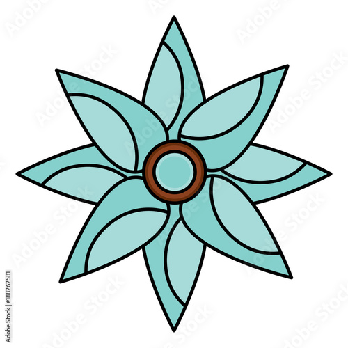 flower natural petal decoration image vector illustration