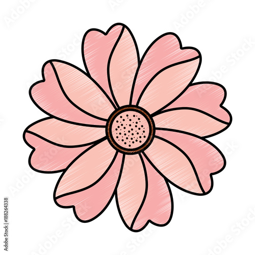 flower topview icon image vector illustration design 