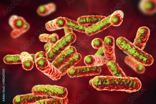 Bartonella quintana bacteria, the causative agent of trench fever, formerly known as Rochalimaea bacteria, 3D illustration