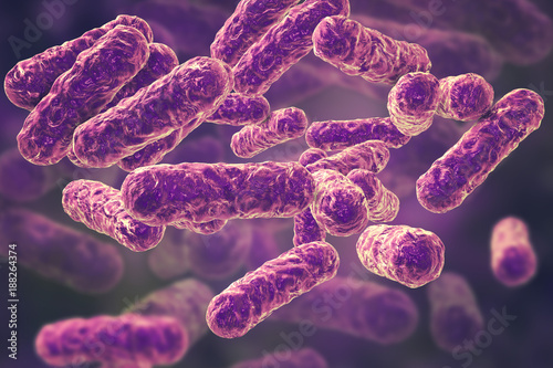 Bartonella henselae bacteria, the causative agent of cat-scratch disease or bartonellosis, formerly known as Rochalimaea bacteria, 3D illustration photo