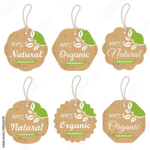 Vector set of retro organic cardboard labels and tags with ropes for design
