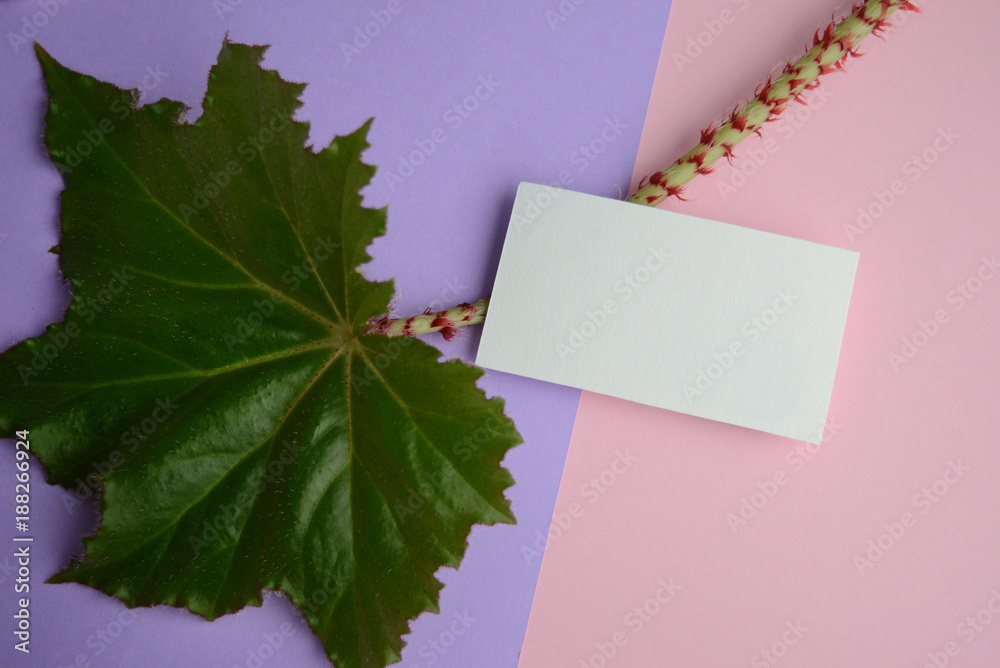 Mockup for a one-way business card. Leaf of royal begonia Mockup for a one-way business card. Leaf of royal begonia