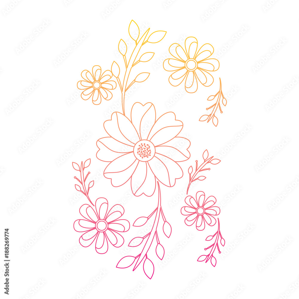 cute flowers decoration natural image vector illustration   line color