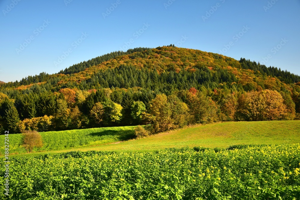 Landschaft zwischen Ursenbach und Oberflockenbach im Odenwald 