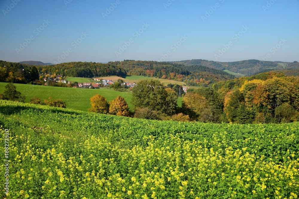 Landschaft zwischen Ursenbach und Oberflockenbach im Odenwald – Oberflockenbach