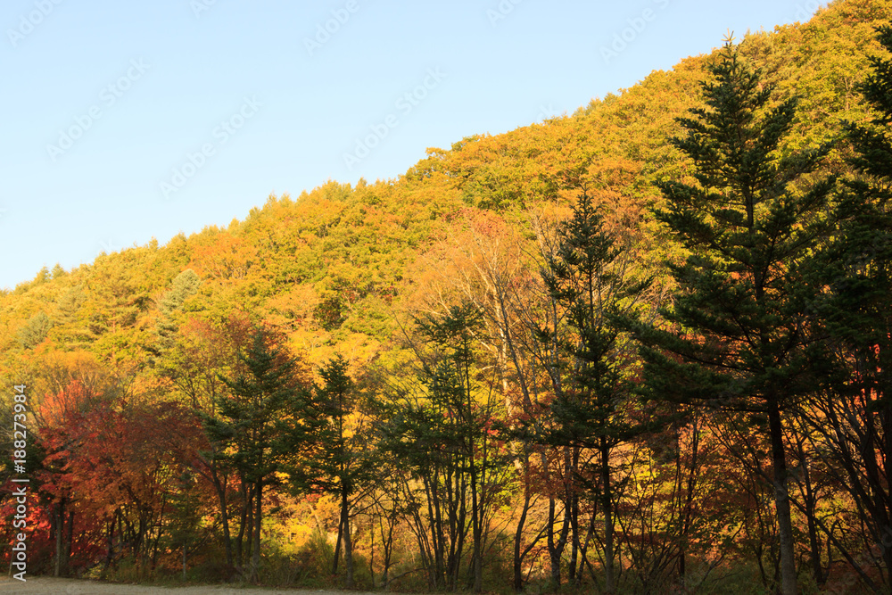 Color of the mountain in Korea October 2015.