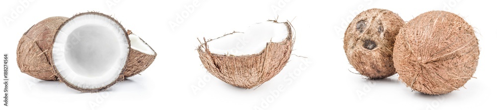 Collection of coconut close-up on white