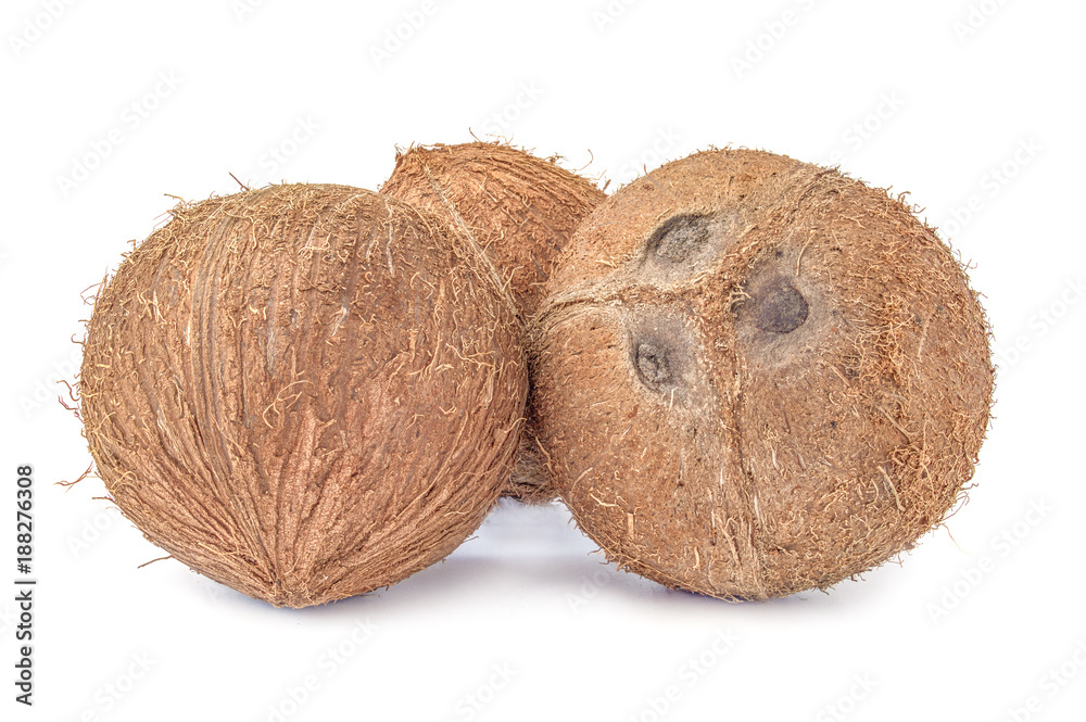 Coconut isolated on a white cutout Coconut isolated on a white cutout