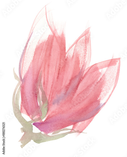 Abstract pastel pink flower with big petals painted in watercolor on clean white background