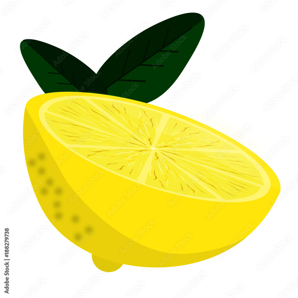 Lemon Vector, simple yellow half a lemon illustration, front side view