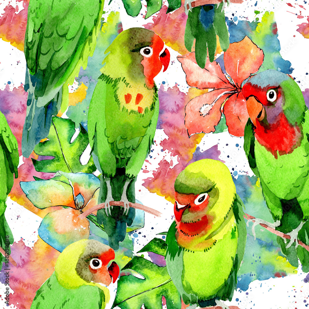 Fototapeta Niebo ptaki małe papugi wzór w faunie przez styl akwarela. Dzika wolność, ptak z latającymi skrzydłami. Aquarelle ptak dla tła, tekstury, wzoru, ramy, granicy lub tatuażu.