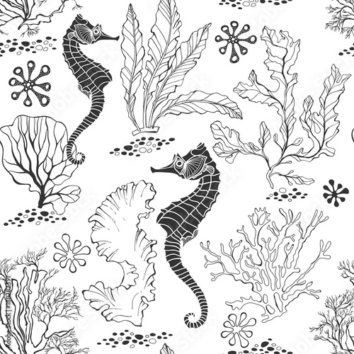 Seamless pattern with seahorses and underwater plants on a white background. Black and white vector illustration.