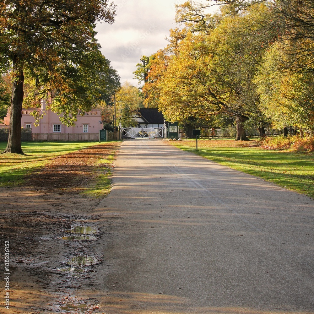 Road through park land with autumn and fall trees, leading to a small tudor house and a larger pink building