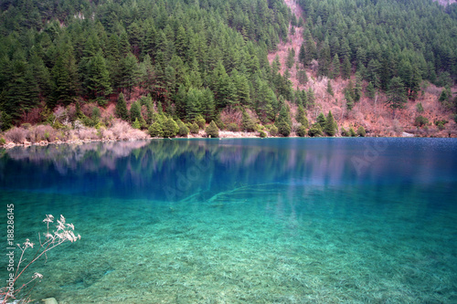 view of lightly tinted lake with mountain and trees in the background