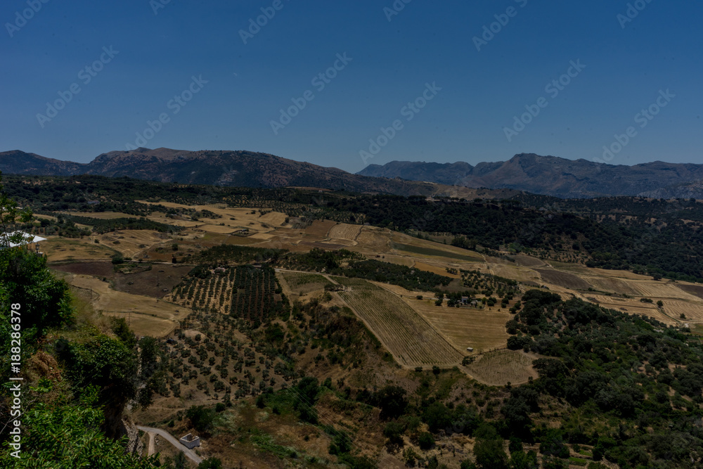 Greenery, Mountains, Farms and Fields on the outskirts of Ronda Spain, Europe on a hot summer day