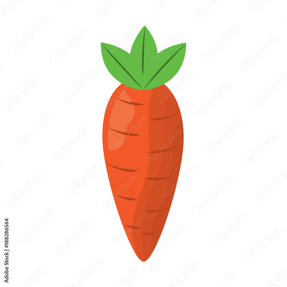 vegetable food carrot raw healthy vector illustration vegetable food carrot raw healthy vector illustration