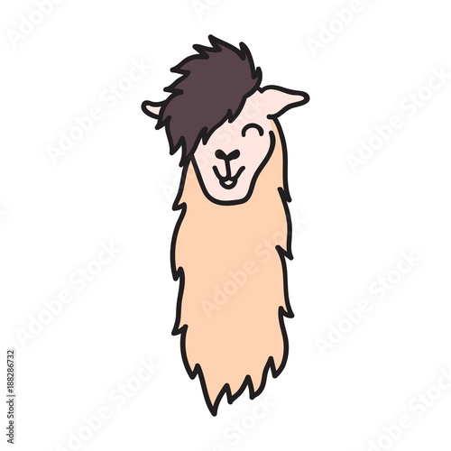 Vector, isolated outline cartoon baby llama.