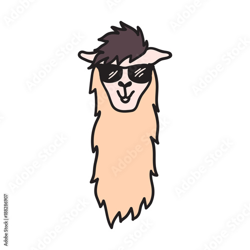 Vector, isolated outline cartoon baby llama.