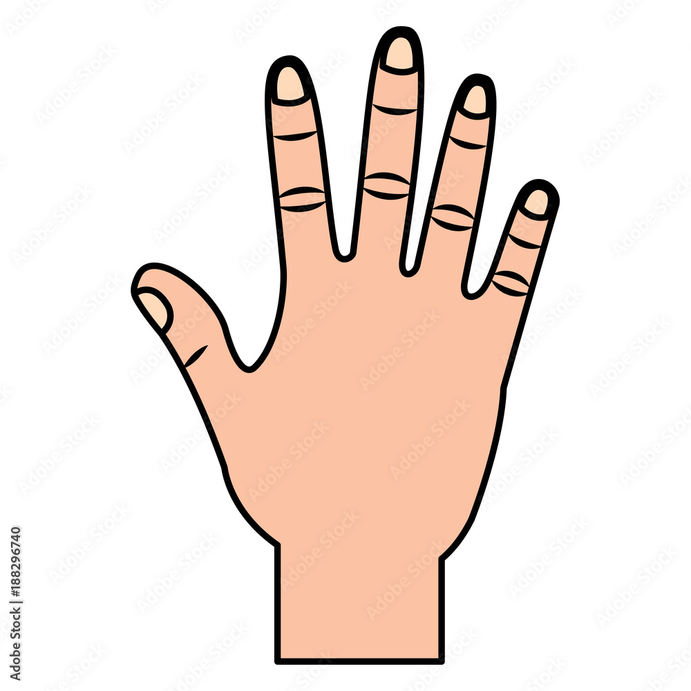opened hand palm counting fingers number five vector illustration opened hand palm counting fingers number five vector illustration