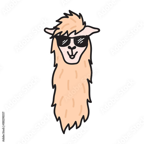 Hand drawn Peru animal, alpaca, vicuna. 