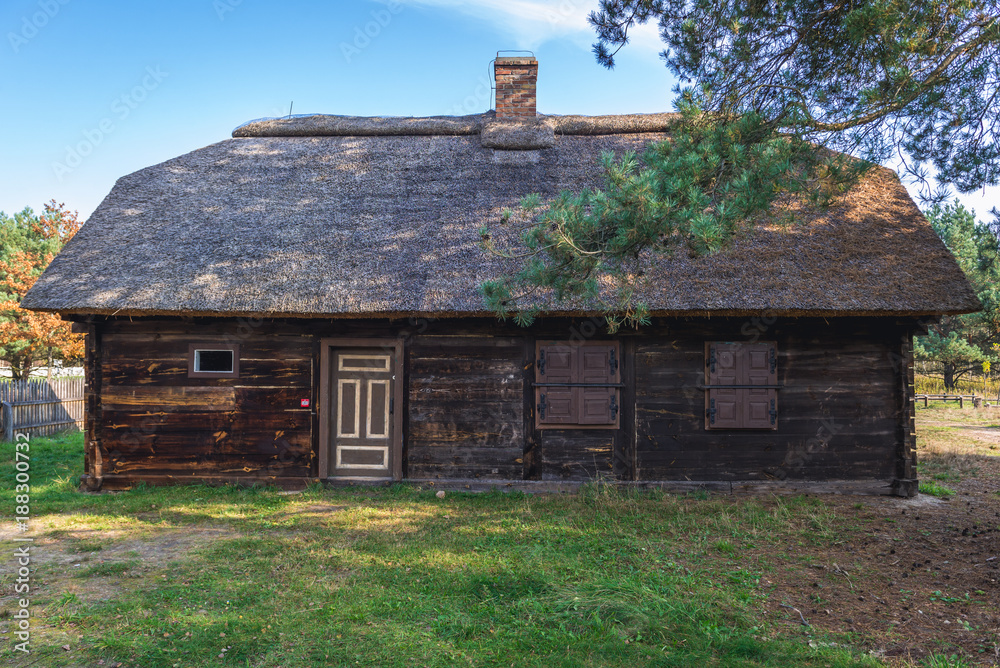 Obraz premium Old wooden thatched roof house in heritage park of Kampinos Forest in Poland