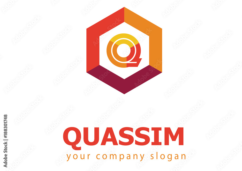 letter Q logo Template for your company letter Q logo Template for your company