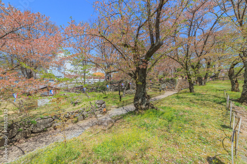 春の懐古園の風景