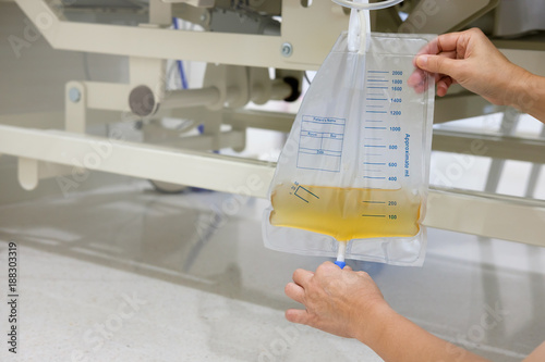 Urine or pee catheter bag