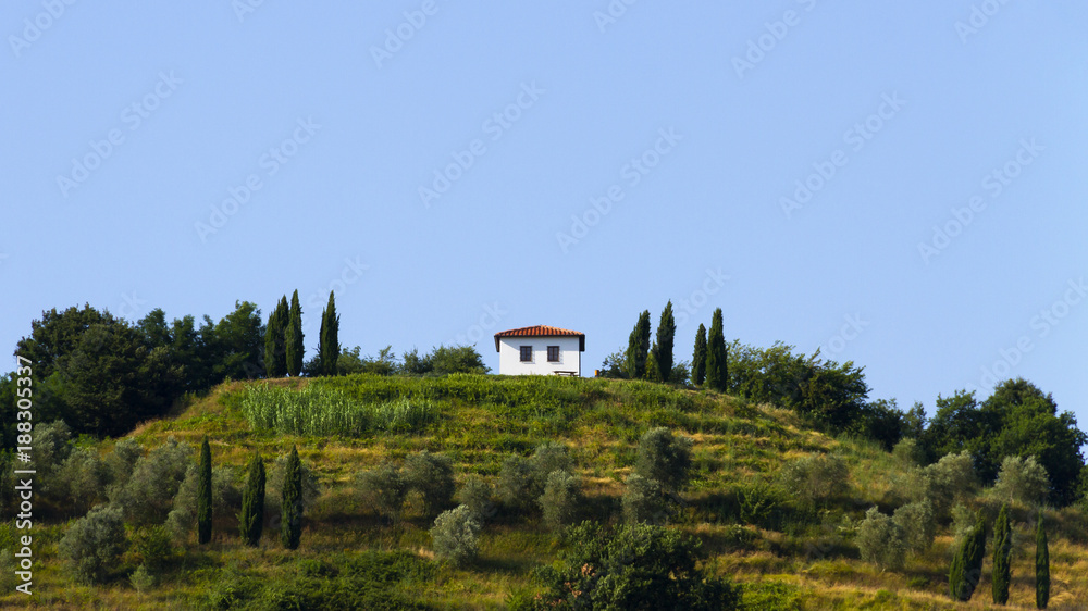 Idyllic and scenic countryside landscape - field, forest and hill - Tuscany, Italy; tourism, travel, vacation; background.