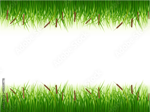 Papyrus bush, green color vector image on a white background