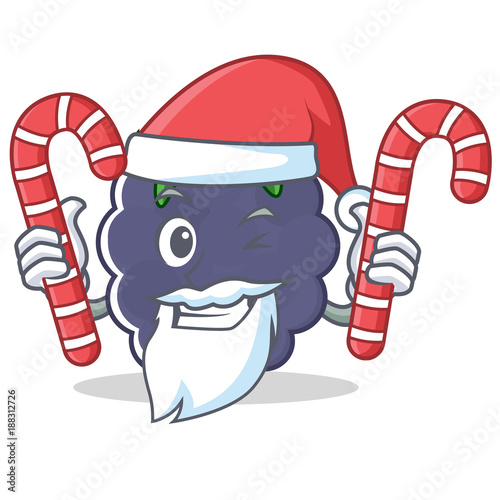 Santa with candy blackberry character cartoon style