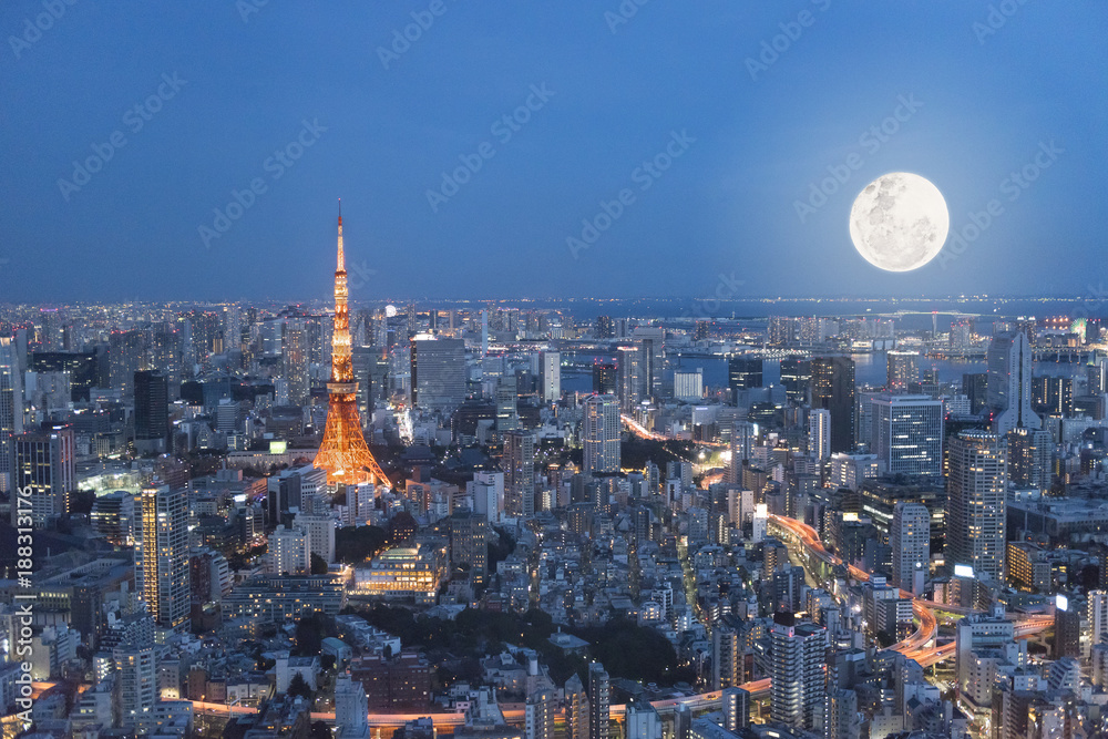 Obraz premium Fine art Tokyo tower night with full moon