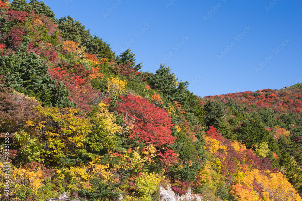 Bandai azuma skyline at Fukushima in autumn Bandai azuma skyline at Fukushima in autumn