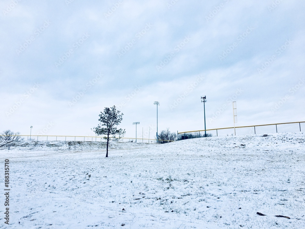 Winter monichrome landscape