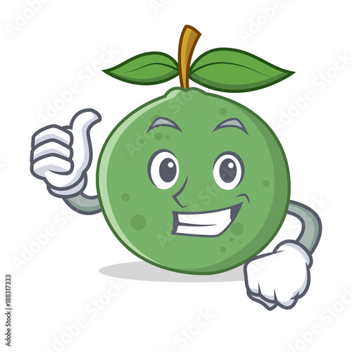 Thumbs up guava character cartoon style