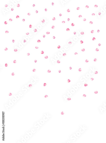 Rose Petals Elegant Vector Confetti. Spring Magic Cherry Blossom Background. Natural Cosmetics, Flying Rose Petals Confetti. Sakura Blossom Romance Wedding Decoration Valentines Day Love Showering