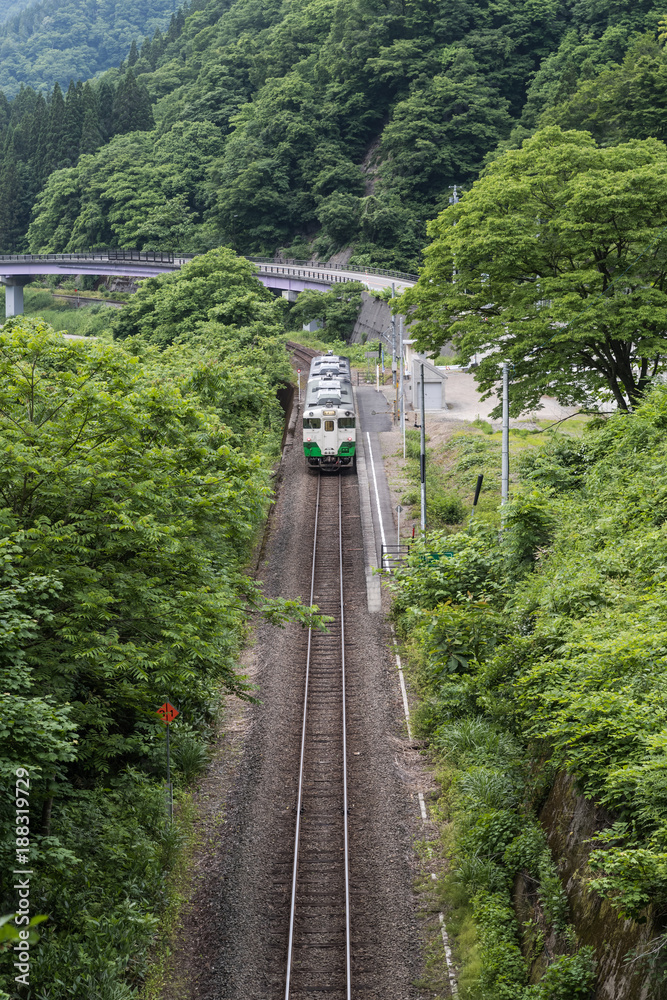Fototapeta premium Tadami railway line in summer season at Fukushima prefecture.