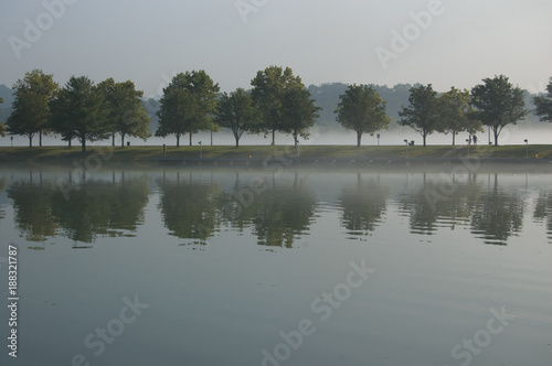 Row of trees reflecting in the lake on foggy morning