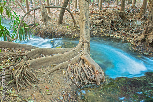 Fotografia The  roper river at Mataranka Northern territory, Australia.