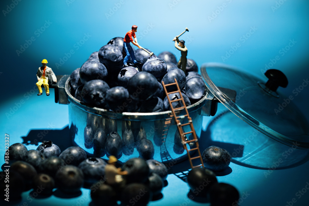 Fototapeta premium blueberry miner workers