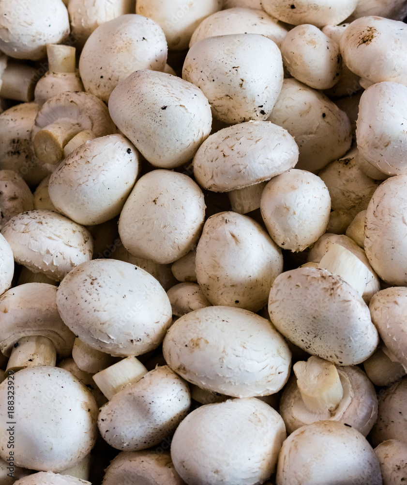 bunch of fresh white button mushrooms from harvest in the forest in a wodden box bunch of fresh white button mushrooms from harvest in the forest in a wodden box