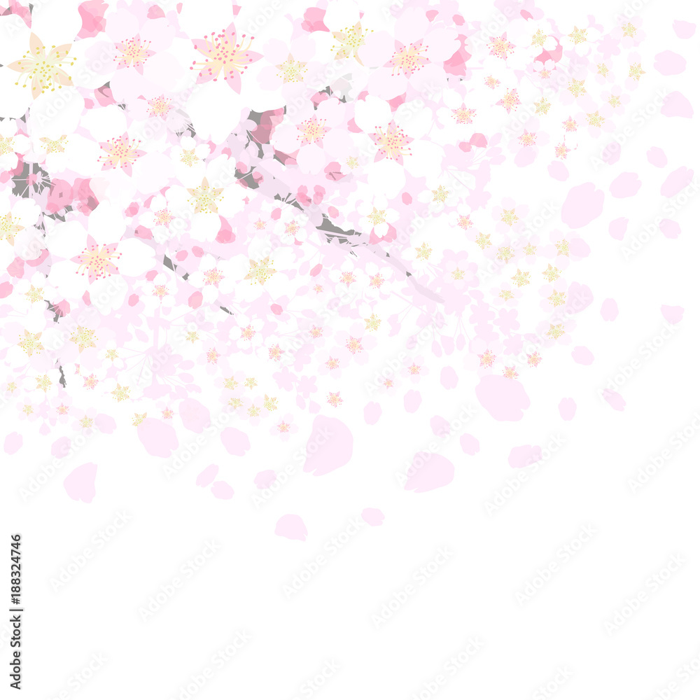 桜　枝