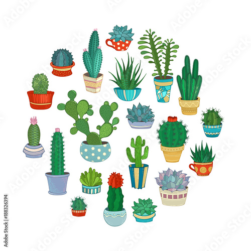 Cacti and succulents round vector illustration.