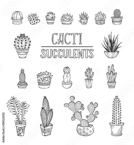 Vector set of doodles cactus and succulent icons.