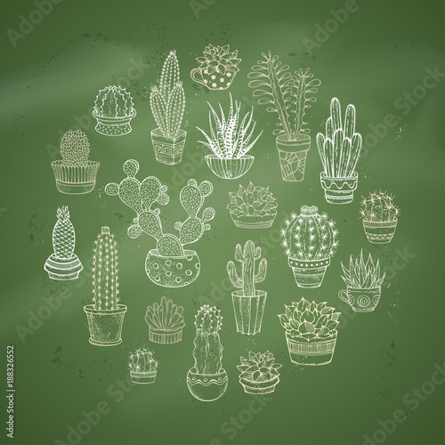 Cacti and succulents round vector illustration.