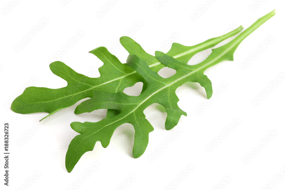 Green fresh rucola or arugula leaf isolated on white background macro Green fresh rucola or arugula leaf isolated on white background macro