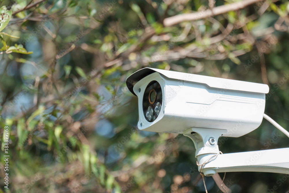 CCTV cameras are installed in the garden. CCTV cameras are installed in the garden.
